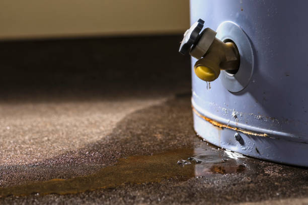 Best Water damage cleanup near me  in Bayou Cane, LA