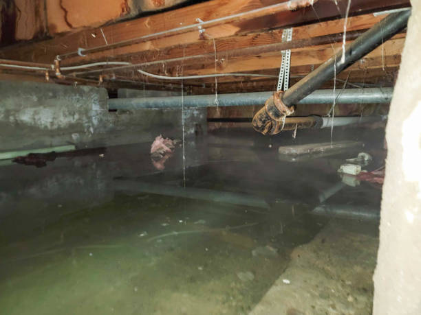Best 24-hour water damage restoration  in Bayou Cane, LA