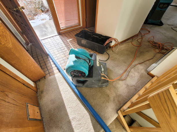Best Mold removal after water damage  in Bayou Cane, LA