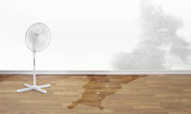 Best Sewage cleanup and water damage restoration  in Bayou Cane, LA
