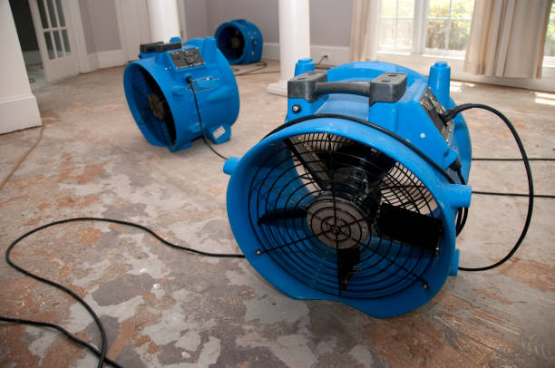 Best Water damage mitigation services  in Bayou Cane, LA
