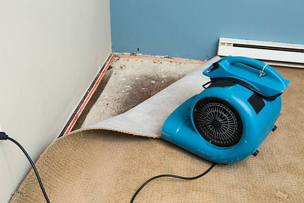 Sewage cleanup and water damage restoration in Bayou Cane, LA